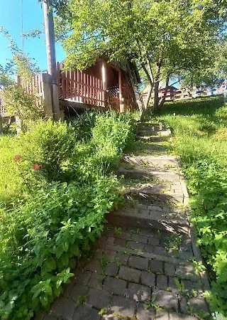 пташиний спів マイコリチン